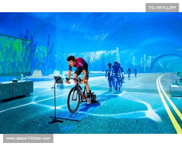 体育产业资本流动国际化，跨国公司与投资基金参与推动全球化布局